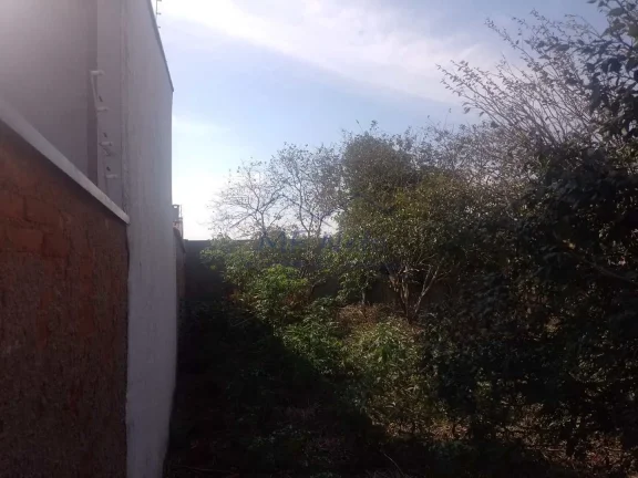 Imagem Terreno Padrão