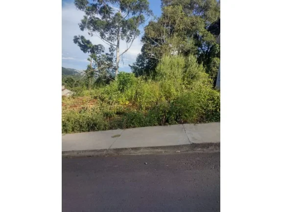 Imagem Terreno CONCÓRDIA - SC