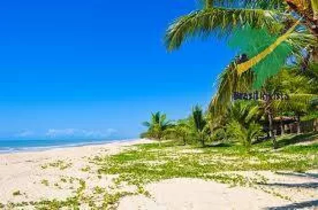 Imagem ÁREA PARA CONSTRUÇÃO DE GRANDES EMPREENDIMENTOS NA ORLA NORTE