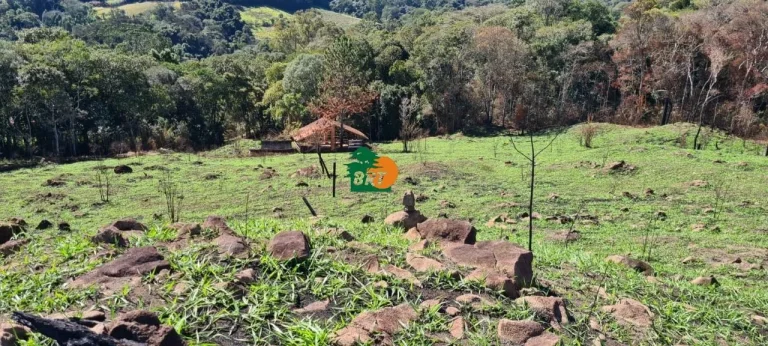 Imagem Chácara para Venda em São Roque, Centro (canguera), 3 dormitórios, 2 suítes, 1 banheiro