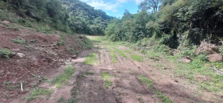 Imagem Área rural à venda em Santa Rosa de Lima/SC
