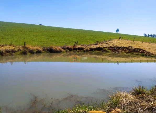 Imagem SITIO RURAL em PITANGA - PR, Rural