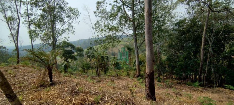 Imagem Terreno à venda, 3500 m² por R$ 233.000,00 - ESTANCIA ARUJÁ - Arujá/SP
