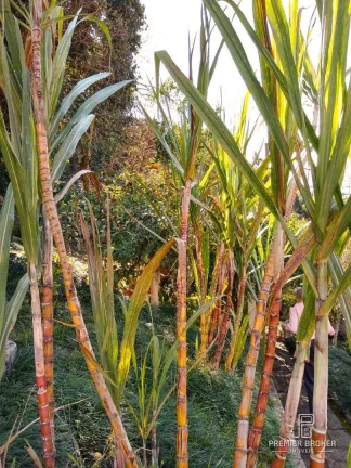 Imagem Casa à venda, 200 m² por R$ 980.000,00 - Albuquerque - Teresópolis/RJ