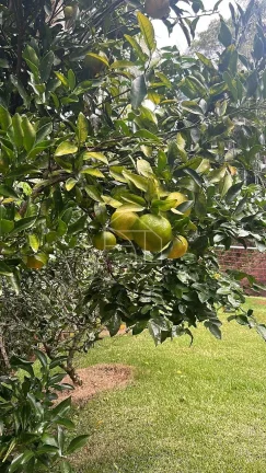 Imagem Sitio em Marechal Floriano com Casa