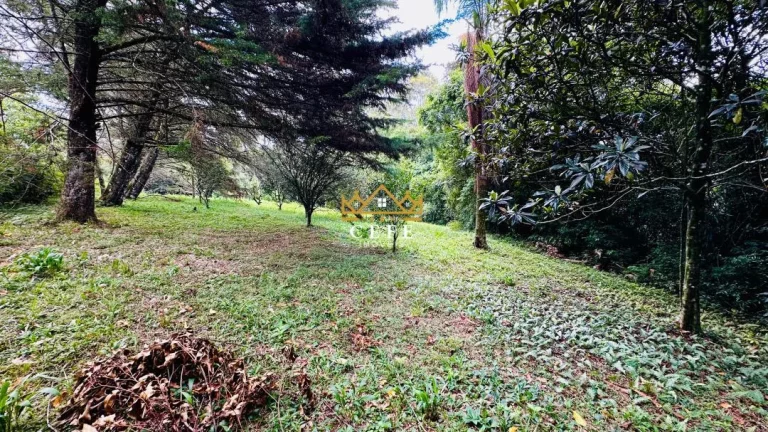 Imagem Chácara - Sítio com 2 Dormitorio(s) localizado(a) no bairro Padre Eterno Ilges em Santa Maria do Herval / RIO GRANDE DO SUL Ref.:1611