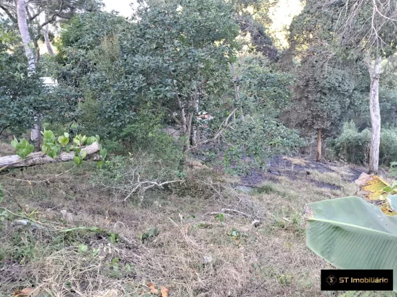 Imagem Terreno com Lago e Boa Topografia Próximo ao Hotel Unique Garden! 180mil