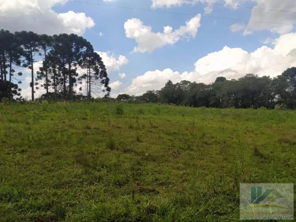 Imagem Terreno para Venda em São José dos Pinhais, Contenda, 1 dormitório