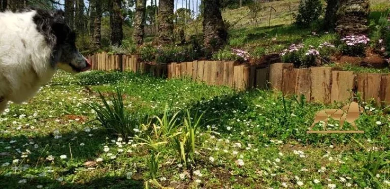 Imagem Terreno à venda, 1300 m² por R$ 1.250.000,00 - Campos Do Jordão - Campos do Jordão/SP