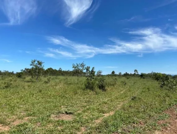 Imagem OPORTUNIDADE! FAZENDA A VENDA EM PEIXOTO (LAJE-IBIRACI)