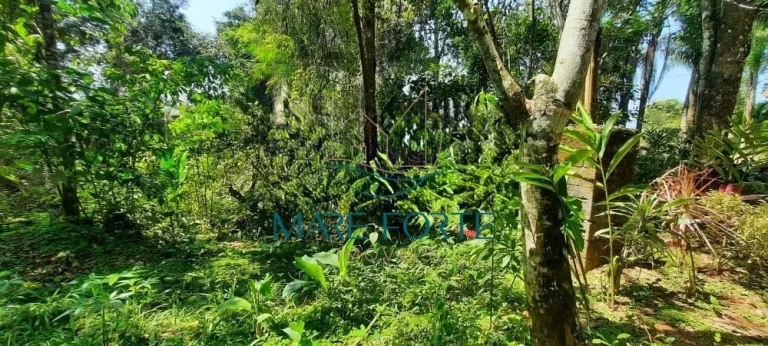 Imagem Terreno na Ponta das Toninhas