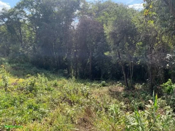 Imagem OPORTUNIDADE!!!
* EXCELENTE CHÃCARA 
*COM ÃREA DE 3.937 MÂ²
*POSSUI LUZ E MINA
*ÃTIMA LOCALIZAÃÃ...