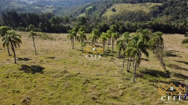 Imagem Chácara - Sítio com 2 Dormitorio(s) localizado(a) no bairro Zona Rural em Três Coroas / RIO GRANDE DO SUL Ref.:1390