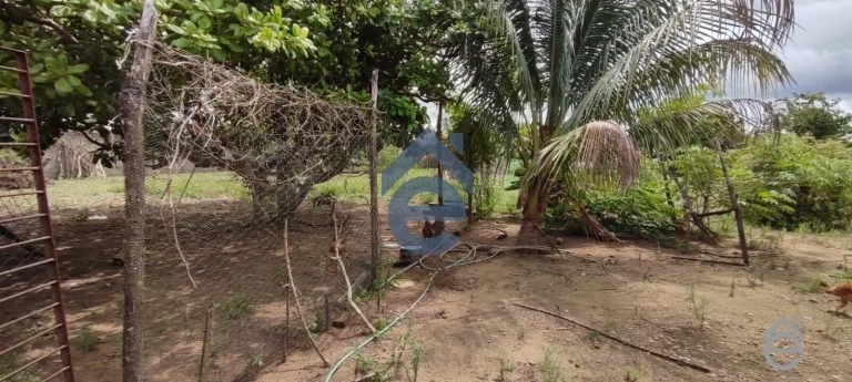 Imagem Chacará de fácil acesso em Pilar, Alagoas, com casa e piscina, 2100m2