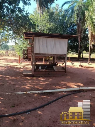 Imagem Chácara com 3 Quartos à Venda, em Portal das Araras - Três Lagoas