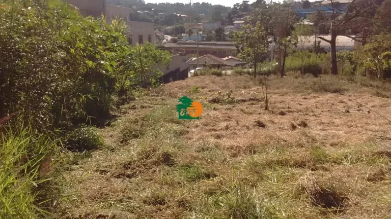 Imagem Área para Venda em São Roque, Centro (são João Novo)