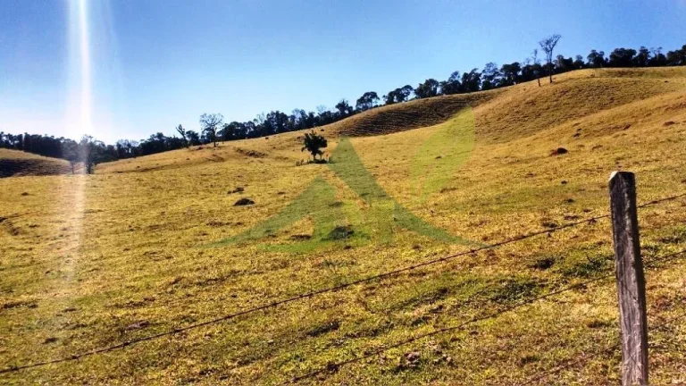 Imagem FAZENDA GADO NELORE COM 100 ALQUEIRES em Cambui MG
