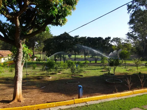Imagem Sítio Espetacular em Atibaia-SP / 95.000m²