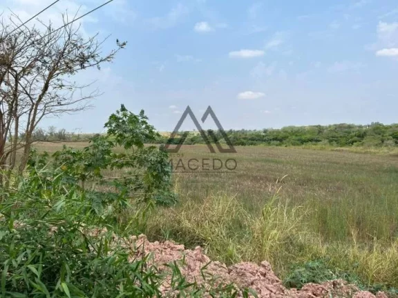 Imagem Área de 6.18 alqueires à Margem da Castello Branco - Cesário Lange/SP
