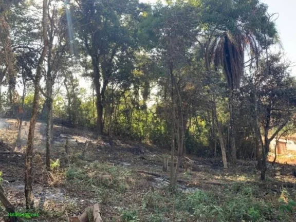 Imagem EXCELENTE LOTE DE 360M², COM ÁGUA E LUZ !