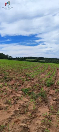 Imagem Fazenda a venda São Miguel Arcanjo SP