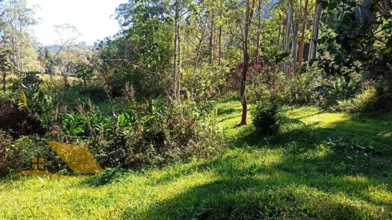 Imagem Vendo Chácara com 1800 mts² e Piscina
