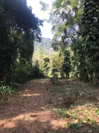 Imagem LINDA ÁREA DE 32.500M² EM UBATUBA, FACÍL ACESSO... OPORTUNIDADE.
