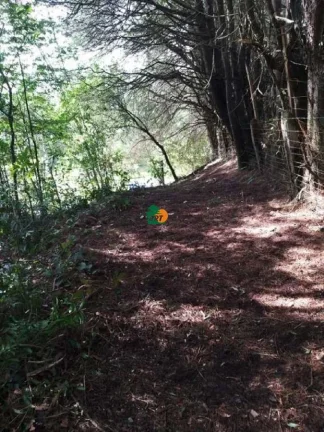 Imagem Terreno para Venda em São Roque, Mombaça