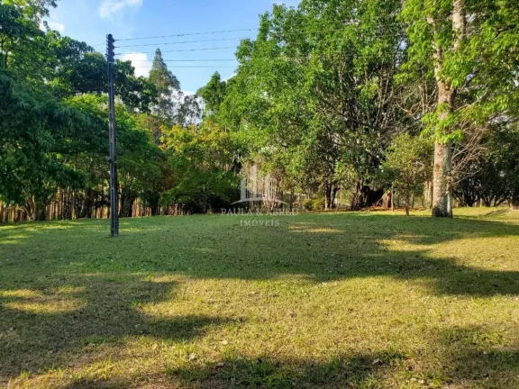Imagem Sitio de 56.720m² 3 Dorms, 1 Suíte, Escritura, nascente, Piscina, 1 ha com Pinos 15 anos, Poço Semi-Artesiano(2.000l/h), 350 mts de testada, Alambrado, em Bragança Paulista