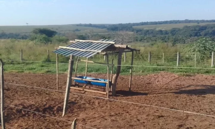 Imagem Sítio - Vende Promissão ( prox. Marília) e Região/SP