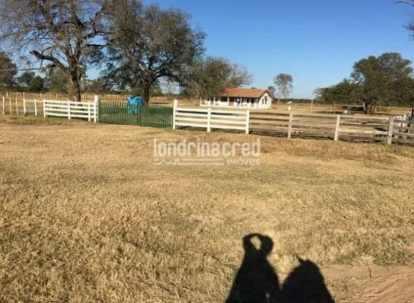 Imagem Fazenda San Justino no Chaco Paraguaio com valor de 900 dólares por hectare, totalizando 12.289 hectares.