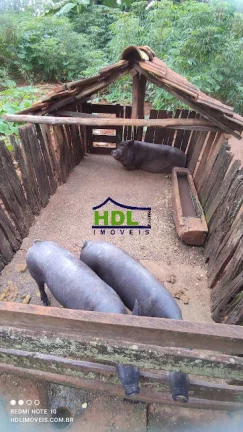 Imagem Chácara com 2,5 Alqs planinha em Hidrolândia-GO