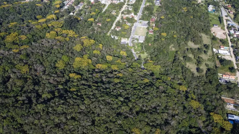 Imagem Terreno no Estaleiro