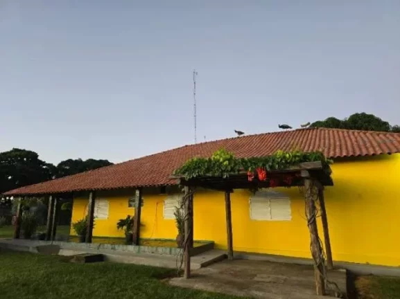 Imagem Oportunidade Única: Fazenda Espetacular à Venda! Mundo Novo GO.
