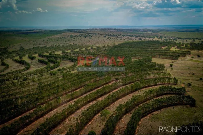 Imagem Fazenda à Venda, 45.340.000 m² em Centro - Figueirão - Figueirão