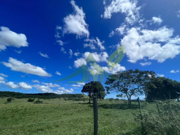 Imagem FAZENDA PEROBAS - OPORTUNIDADE ÚNICA DE INVESTIMENTO EM ARARUAMA/RJ