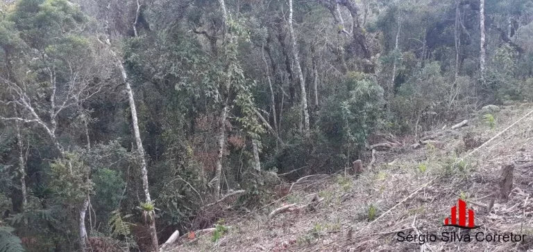 Imagem Terreno a Venda na Região do Atalaia Campos do Jordão / SP