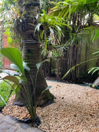 Imagem Casa à venda na praia Barra do Una São Sebastião Maresias SP