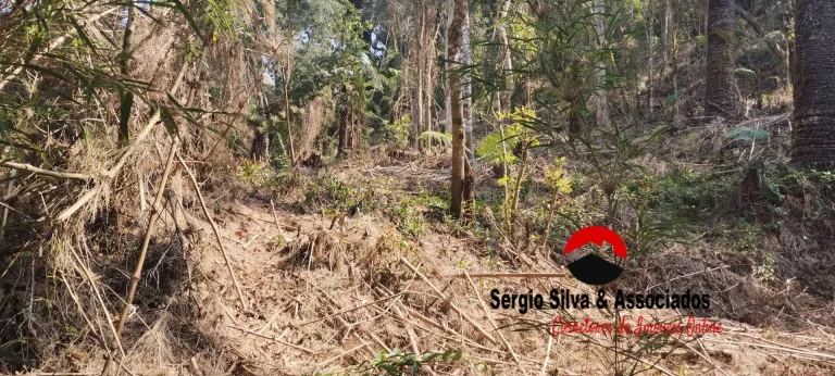 Imagem Terreno a Venda na Região do Alto da Boa Vista em Campos do Jordão -SP.