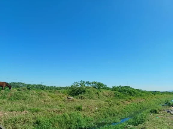 Imagem Área para alugar, 1500 m² por R$ 1.725,00/mês - Cidade Miguel Badra - Suzano/SP