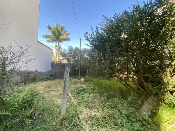 Imagem Oportunidade para Investidores – Terreno com Excelente Potencial no Bairro Monsenhor Mário Quintão!
