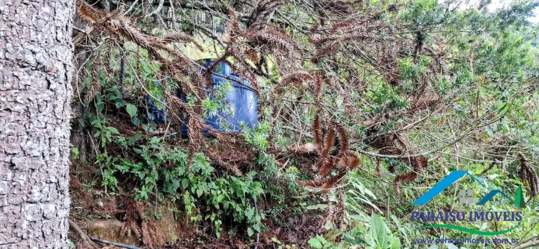 Imagem Viva o sonho na Serra da Mantiqueira neste aconchegante terreno!