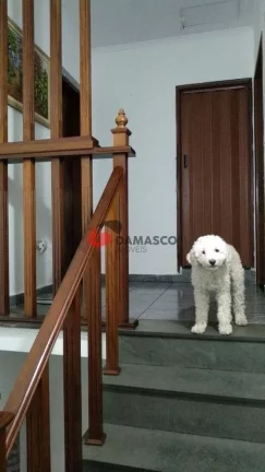 Imagem Sobrado à venda 3 Quartos, 1 Suite, 8 Vagas, 260M², Vila Califórnia, São Paulo - SP