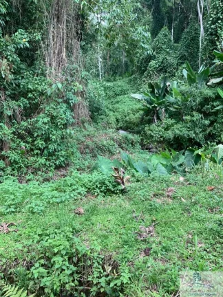 Imagem Rural - Chácara, para Venda em Rio dos Cedros/SC