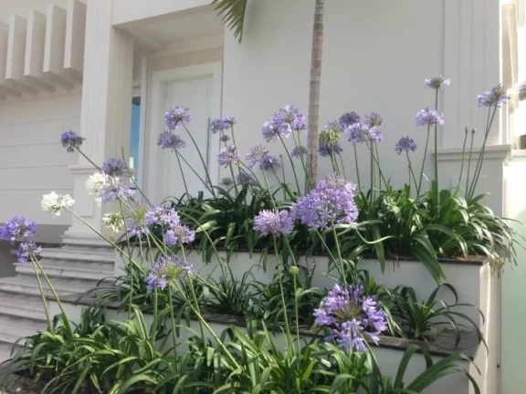 Imagem Casa com 7 dormitórios à venda - Jurerê Internacional - Florianópolis/SC