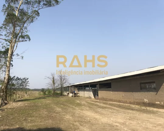 Imagem Fazenda mais linda de Garuva, é 100% plana, pode-se ver o gado de ponta a ponta da fazenda, tendo u...