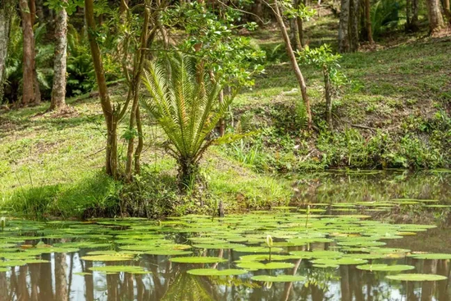 Imagem Terreno em Camboriú - Rio do Meio