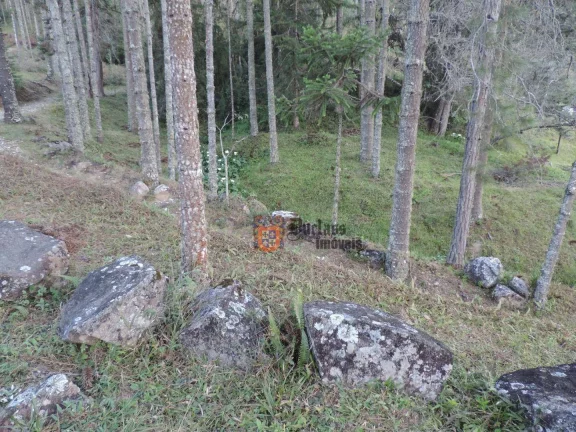 Imagem Sítio com 2 dormitórios à venda, 1000000 m² por R$ 28.000.000,00 - Dos Marmelos - Campos do Jordão/SP