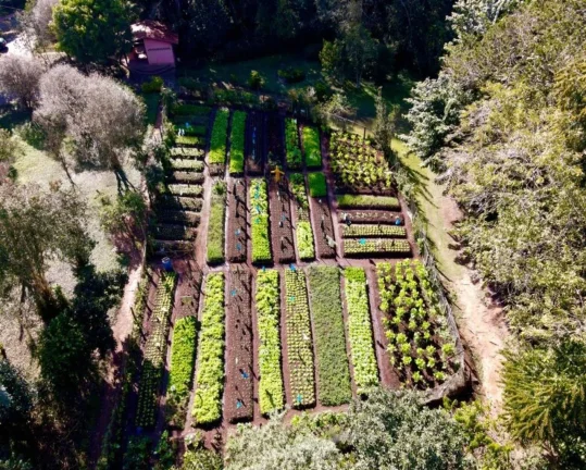 Imagem Terreno à venda no bairro Estância Parque de Atibaia - Atibaia/SP
