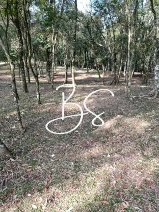 Imagem AREA RURAL em CANELA - RS, São Lucas
